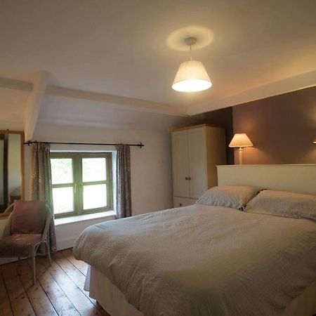 Perfect Cottage Retreat Near The Brecon Beacons Llanwrda Eksteriør billede