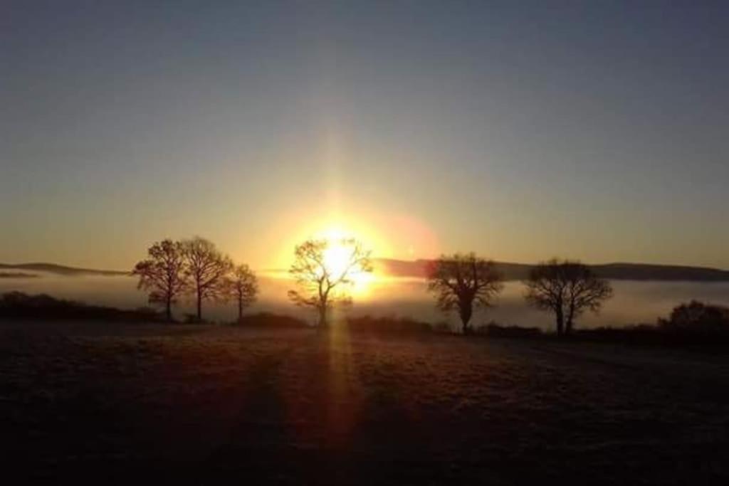 Perfect Cottage Retreat Near The Brecon Beacons Llanwrda Eksteriør billede