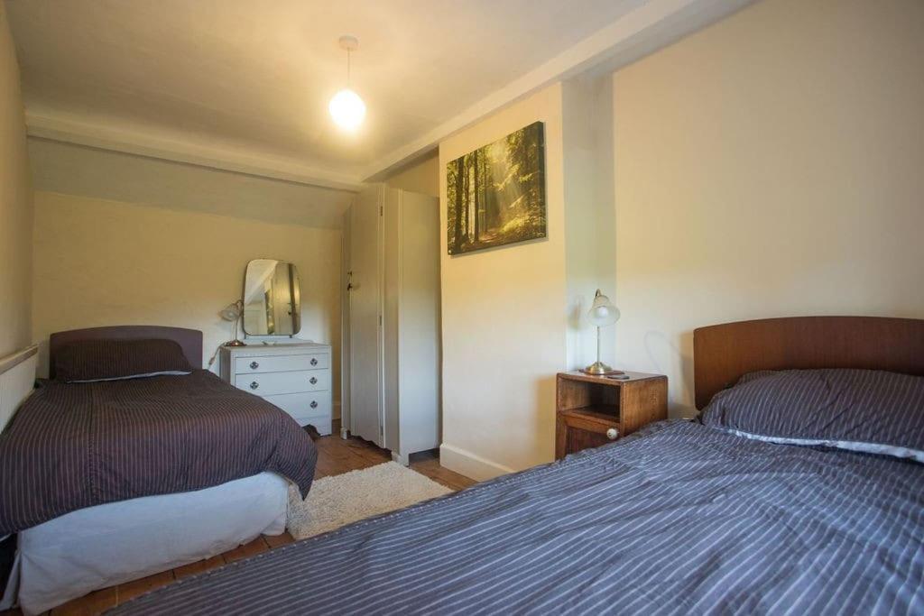Perfect Cottage Retreat Near The Brecon Beacons Llanwrda Eksteriør billede