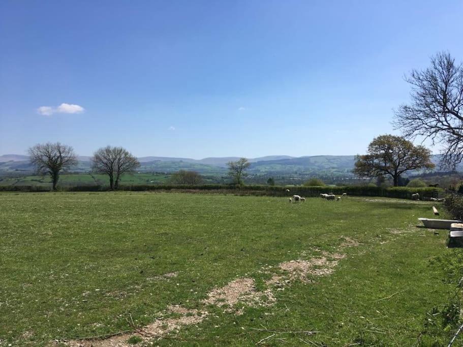 Perfect Cottage Retreat Near The Brecon Beacons Llanwrda Eksteriør billede