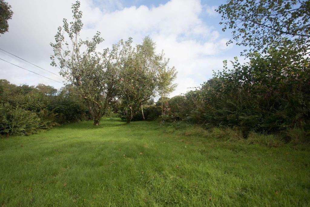 Perfect Cottage Retreat Near The Brecon Beacons Llanwrda Eksteriør billede